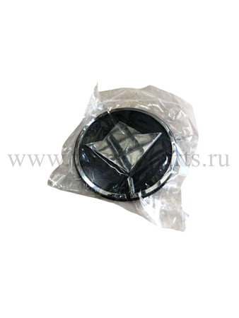 Логотип ПАЗ-32054,4234 (эмблема) (пластик)