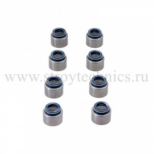 Колпачки м/съемные для а/м ГАЗ А21R23 ''NEXT'' дв. Evotech 2.7 (к-т 8 шт) ESPRA