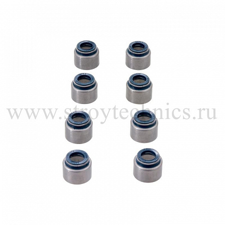 Колпачки м/съемные для а/м ГАЗ А21R23 ''NEXT'' дв. Evotech 2.7 (к-т 8 шт) ESPRA